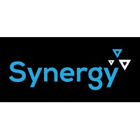 Synergy Accounting Services LLP logo - Similar company to Dataholic Analytics Solutions