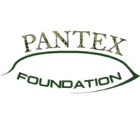 Stichting Pantex Foundation logo - Similar company to Ten Twenty Solutions