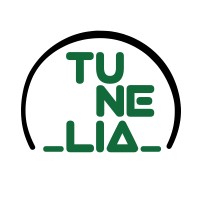 TUNELIA INGENIEROS S.L. logo - Similar company to Xouba - Data For Safer Roads