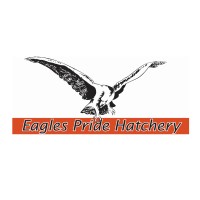 Eagles Pride Hatchery (Pty) Ltd logo - Similar company to G