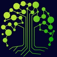 DigiTransWorld logo - Similar company to Ekassir Ltd