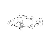 Grouper Companies LLC logo - Similar company to Fleetflo