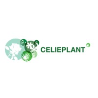 Celieplant B.V. logo - Similar company to One Flora Group