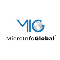 Microinfo Global logo - Similar company to Tekcog