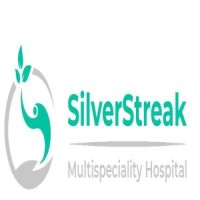 SILVERSTREAK MULTISPECIALITY HOSPITAL logo - Similar company to Rewari Bazar