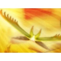 Condor Solutions