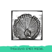 Thousand Eyes Media logo - Similar company to Grndworx