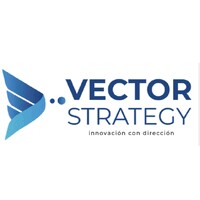 Vector Strategy logo - Similar company to Vector Strategy