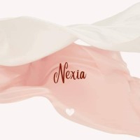 Nexia France logo - Similar company to Duthilleul Et Associes (D&A)