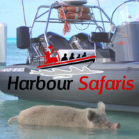 Harbour Safaris Ltd.
