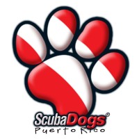 Scuba Dogs logo - Similar company to Baasid
