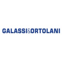 Galassi & Ortolani India Private Limited logo - Similar company to Leadon Engineers