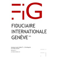 FIG - Fiduciaire Internationale Genève Sàrl logo - Similar company to Counteo