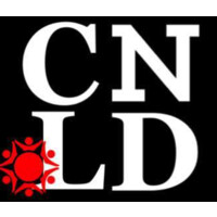 National Coalition for Latinxs with Disabilities logo - Similar company to Atlantis Community, Inc.