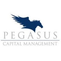 Pegasus Capital Management logo - Similar company to Rbo Tech Integrator