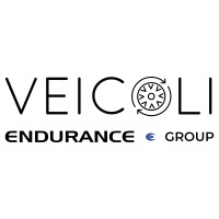 Veicoli logo - Similar company to Soft Design Srl
