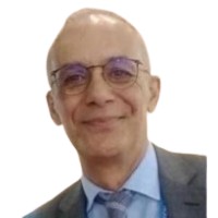 Massimo Contini TEM Interim Management logo - Similar company to Eflyke®