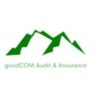 goodcom audit & assurance logo - Similar company to Beyond The Balance Sheet