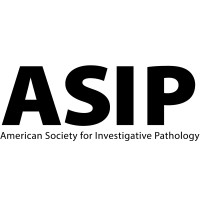 American Society for Investigative Pathology (ASIP) logo - Similar company to The Strategy Web