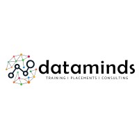 Data Minds Analytics logo - Similar company to Dataminds