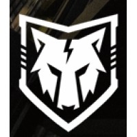 New Era Power logo - Similar company to 4X5 Suicide Prevention Program