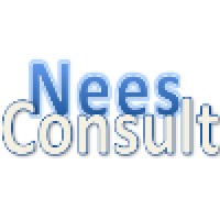 Nees Consult logo - Similar company to Kgs Consult
