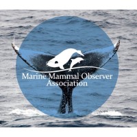 Marine Mammal Observer Association (MMOA) logo - Similar company to Edgewise Environmental