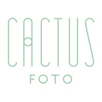 Cactus foto logo - Similar company to Group Media - Productora Audiovisual