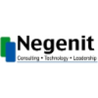 Negenit logo - Similar company to Blair It Technology Solutions