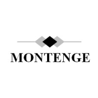 Montenge logo - Similar company to Montengel