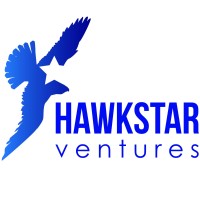 Hawkstar Ventures Ltd logo - Similar company to Nxtgen Technology Ltd