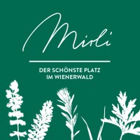 MIRLI logo - Similar company to Fr-8 Logistics
