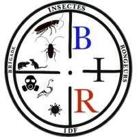 La brigade insectes rongeurs logo - Similar company to Subvenis