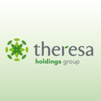 Theresa Holdings Pte Ltd logo - Similar company to Emk Technologies