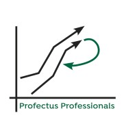 Profectus Professionals