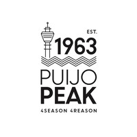 Puijo Peak logo - Similar company to Dream On Group
