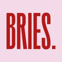 Bries Projecten logo - Similar company to Skript