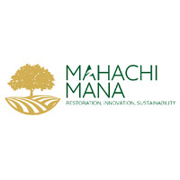 Mahachi Mana logo - Similar company to Vaima Talent Management Centre