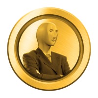 Stonks Token logo - Similar company to Pomelo Token