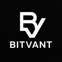 BitVant group logo - Similar company to Soft Lead Solutions
