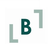 BoomLocal = (SEO + SMO) logo - Similar company to Effectual Thinking
