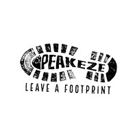 Peakeze logo - Similar company to Eazycapture By Peakeaze