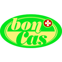 bonCas AG