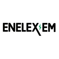 Enelex Mx logo - Similar company to Generata
