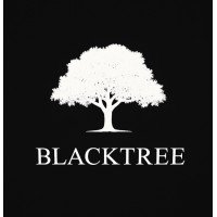 Blacktree Management logo - Similar company to Laer Health