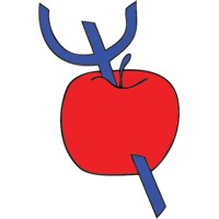 ISPE logo - Similar company to Centro Galeno Integral ¨Las Terrenas¨