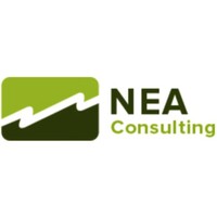NEA Consulting Inc logo - Similar company to Exchange It