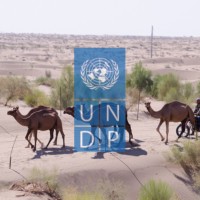 UNDP Turkmenistan logo - Similar company to Centre For Basic Research -Cbr
