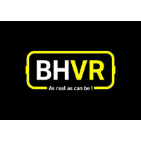 BHVR logo - Similar company to B&V Partners In Veiligheid