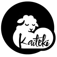 快適 Kaiteki logo - Similar company to Evolv. Studios